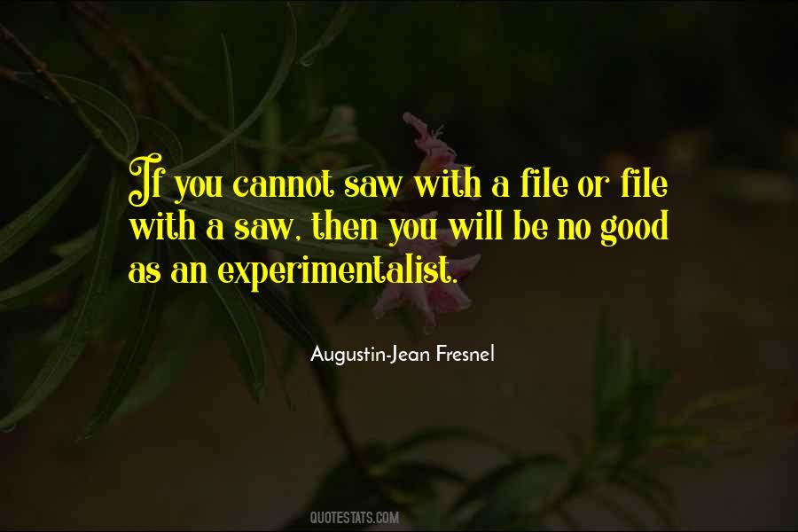 Augustin-Jean Fresnel Quotes #1222434 Augustin-Jean Fresnel Quotes #1222434