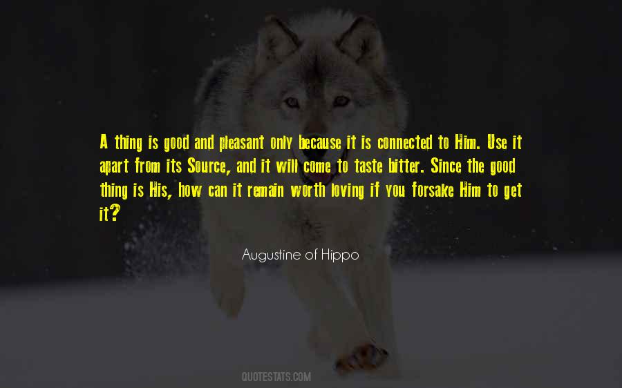 Augustine Of Hippo Quotes #108022