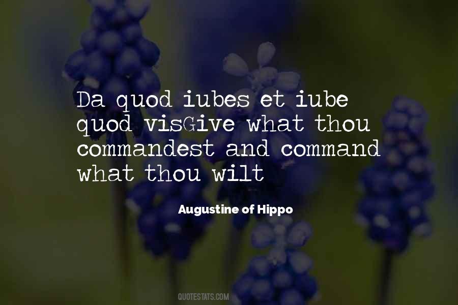 Augustine Of Hippo Quotes #496073