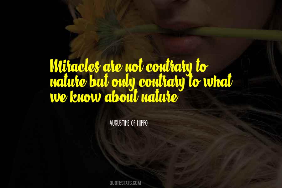 Augustine Of Hippo Quotes #93036