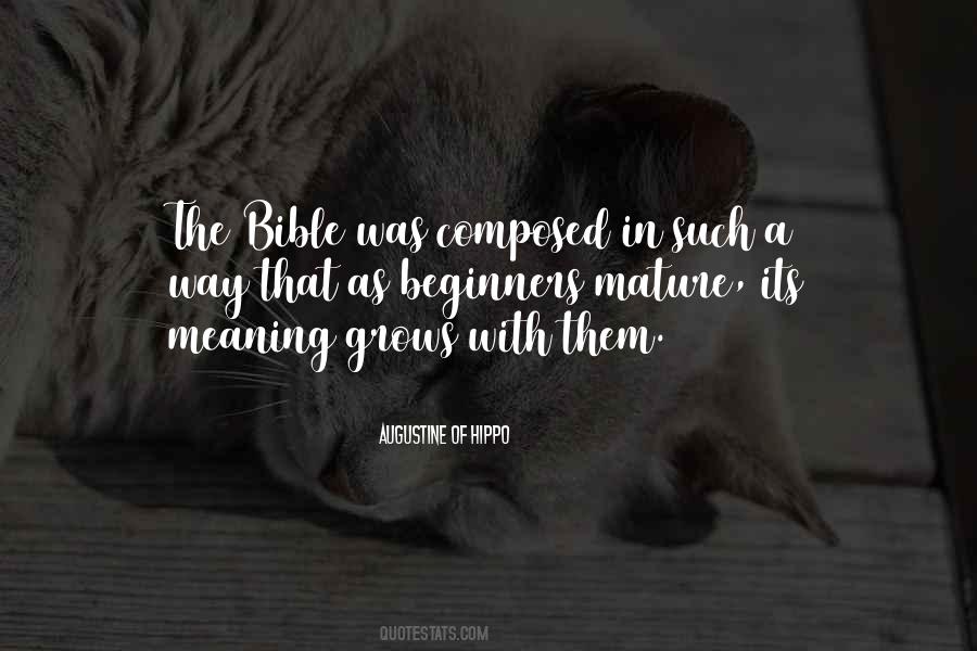 Augustine Of Hippo Quotes #953493