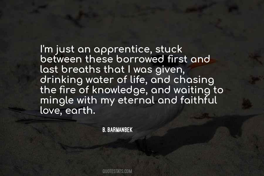 B. Barmanbek Quotes #934042