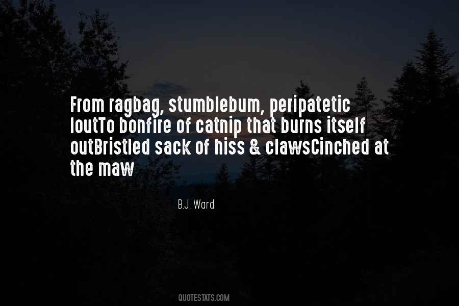 B.J. Ward Quotes #1404685