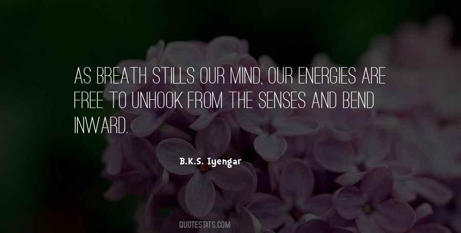 B.K.S. Iyengar Quotes #1246834