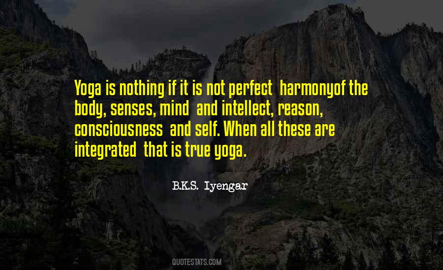 B.K.S. Iyengar Quotes #1264401