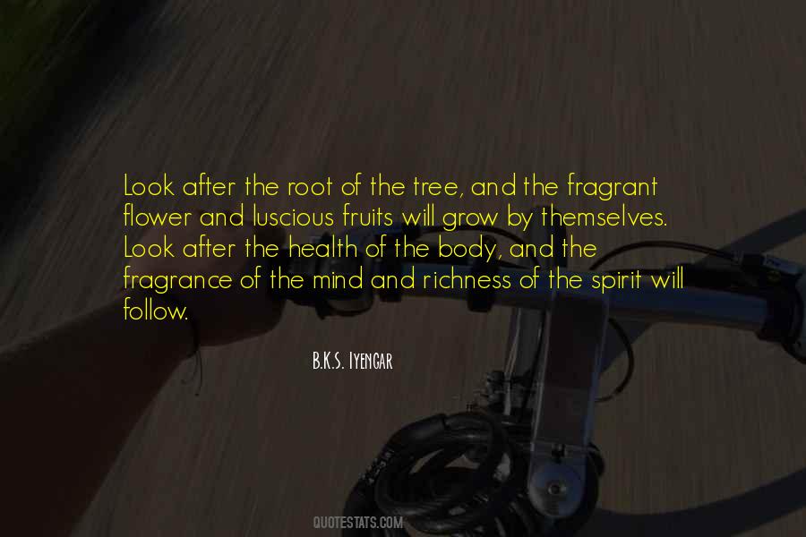 B.K.S. Iyengar Quotes #1360307