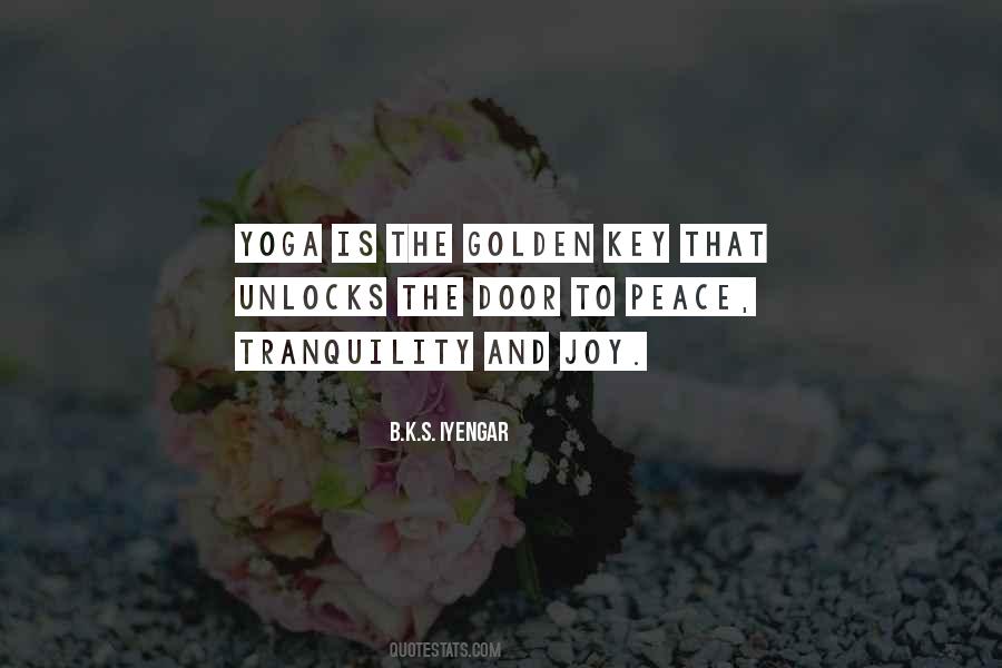 B.K.S. Iyengar Quotes #1589482