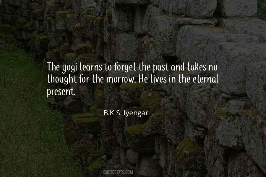 B.K.S. Iyengar Quotes #770242