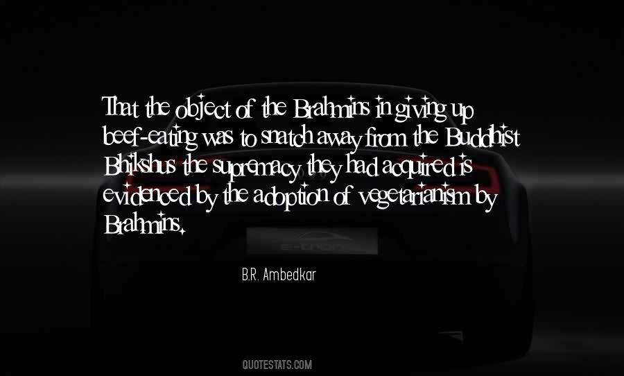 B.R. Ambedkar Quotes #1508397