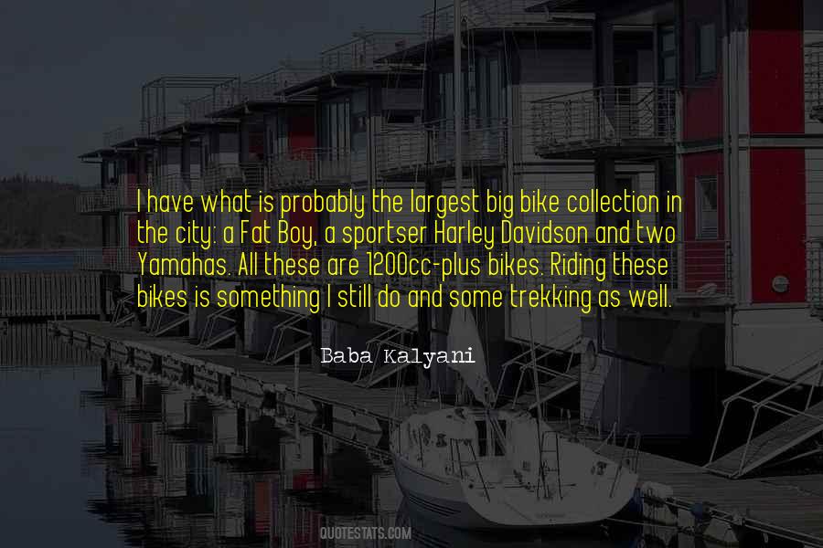 Baba Kalyani Quotes #428342