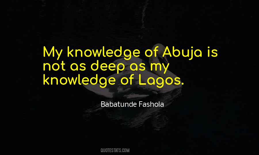 Babatunde Fashola Quotes #1619837