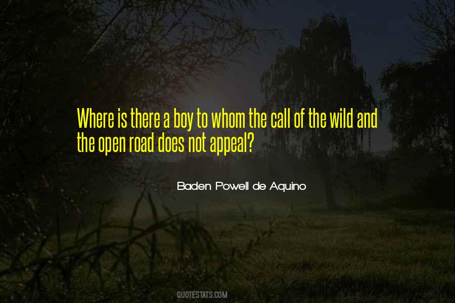Baden Powell De Aquino Quotes #614557