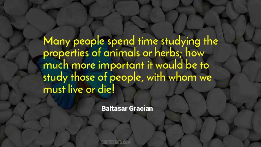 Baltasar Gracian Quotes #1239015