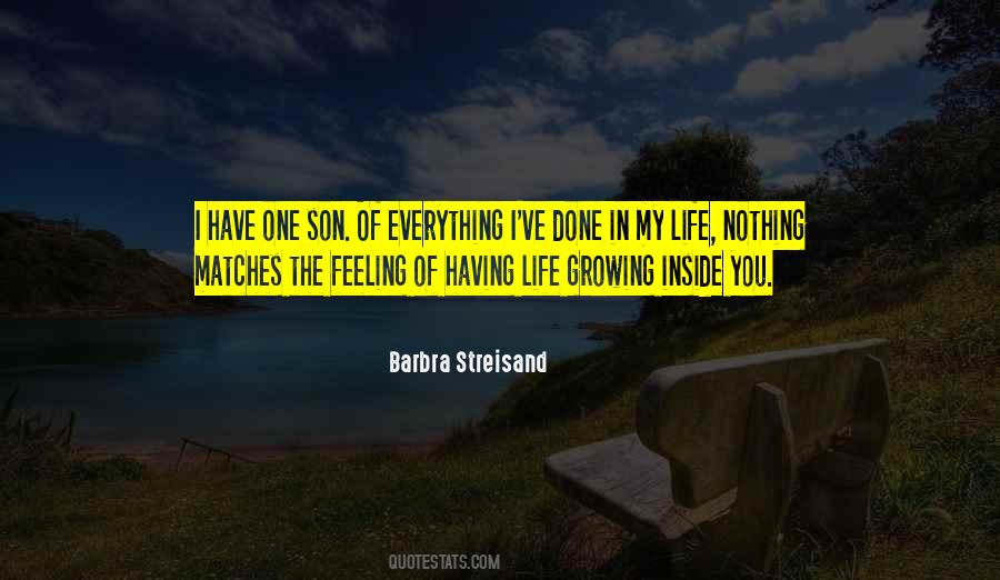 Barbra Streisand Quotes #931756