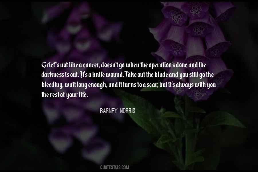 Barney Norris Quotes #1530270