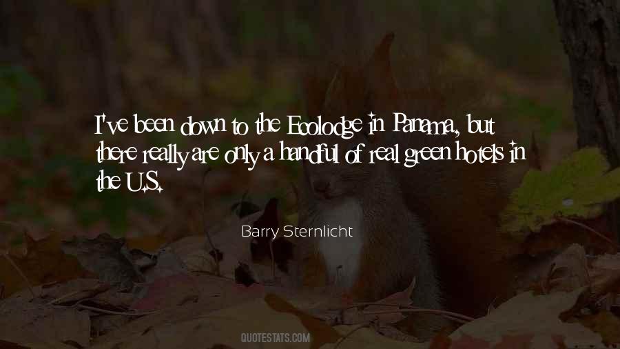 Barry Sternlicht Quotes #796808