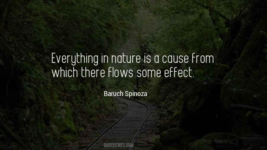 Baruch Spinoza Quotes #371071