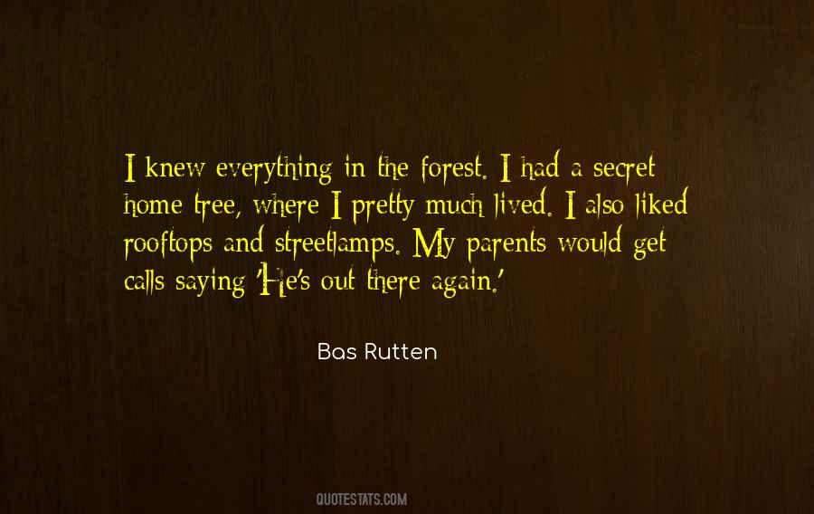 Bas Rutten Quotes #1805402