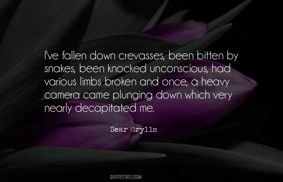 Bear Grylls Quotes #1495803