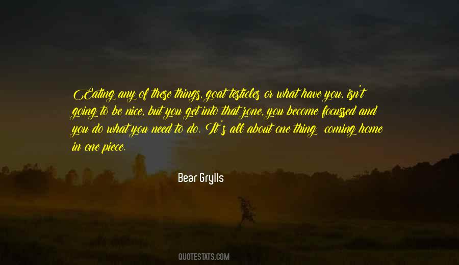 Bear Grylls Quotes #555286