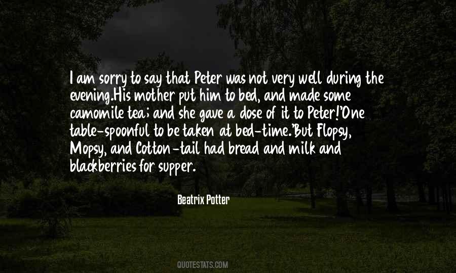 Beatrix Potter Quotes #249967