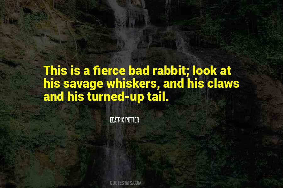 Beatrix Potter Quotes #560298