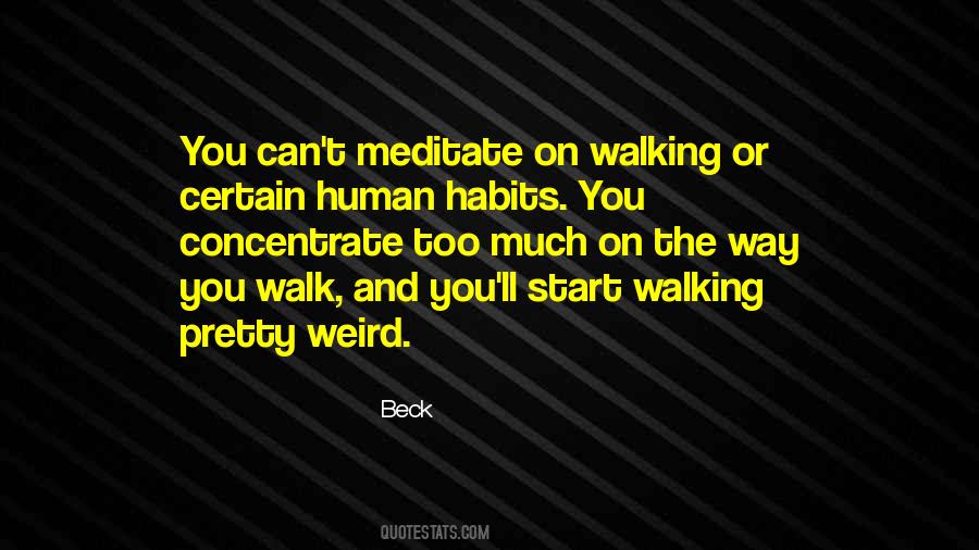 Beck Quotes #989747