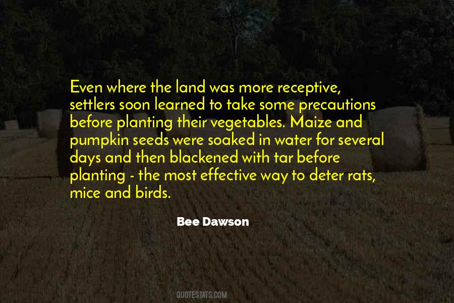 Bee Dawson Quotes #1522997