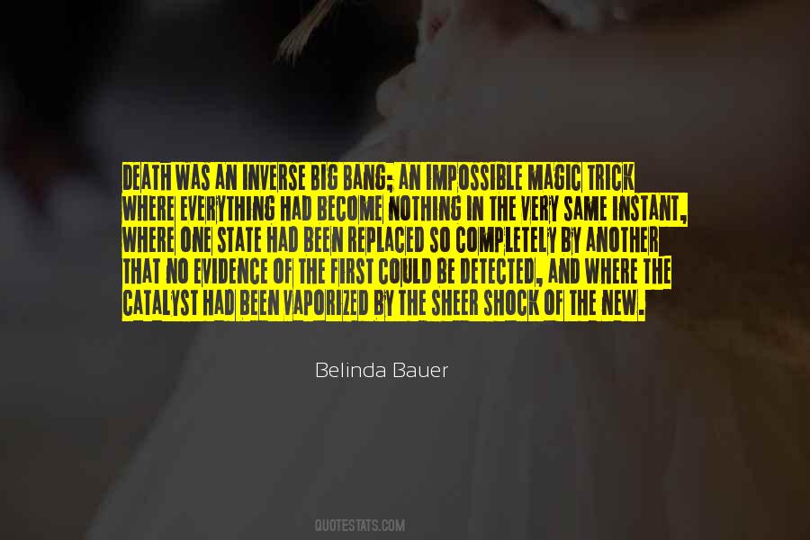 Belinda Bauer Quotes #593797