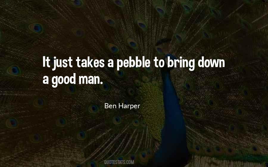 Ben Harper Quotes #256469