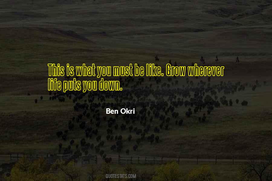 Ben Okri Quotes #1254958