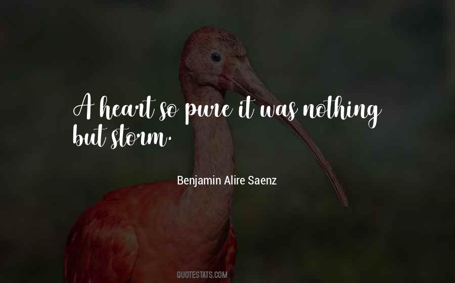 Benjamin Alire Saenz Quotes #1522563