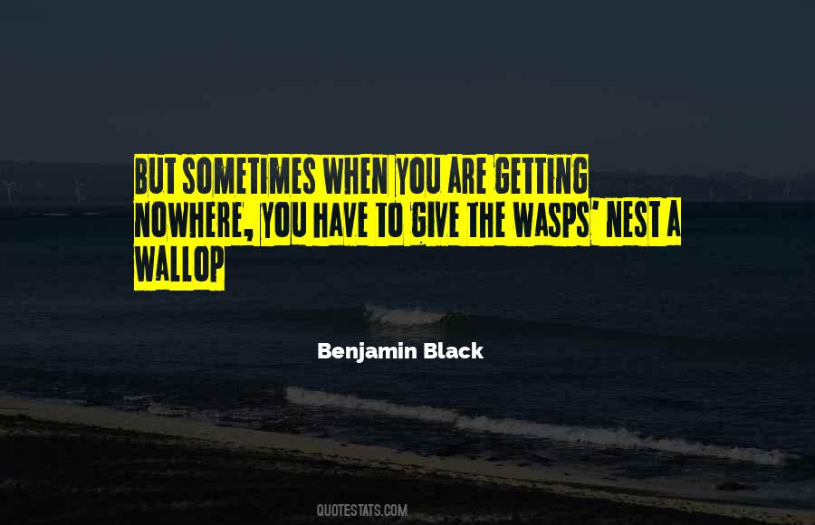 Benjamin Black Quotes #483070