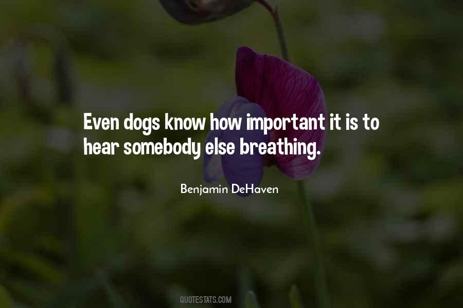 Benjamin DeHaven Quotes #1677179