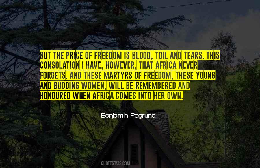 Benjamin Pogrund Quotes #707457