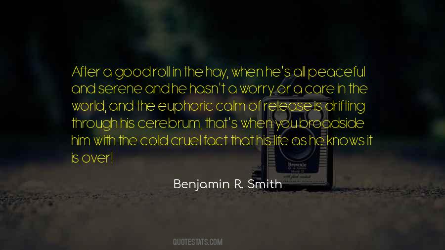 Benjamin R. Smith Quotes #1249770