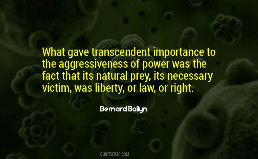 Bernard Bailyn Quotes #479747