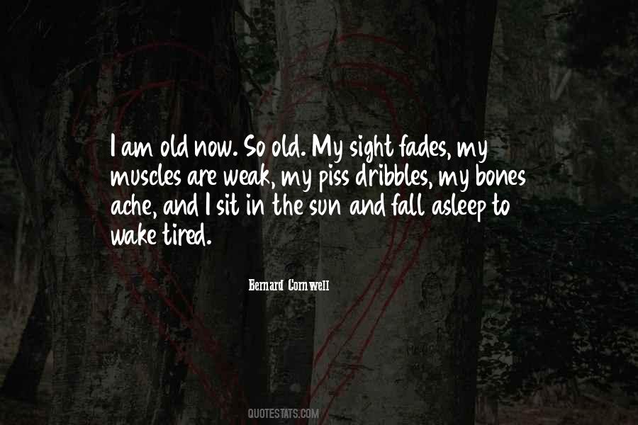 Bernard Cornwell Quotes #565465