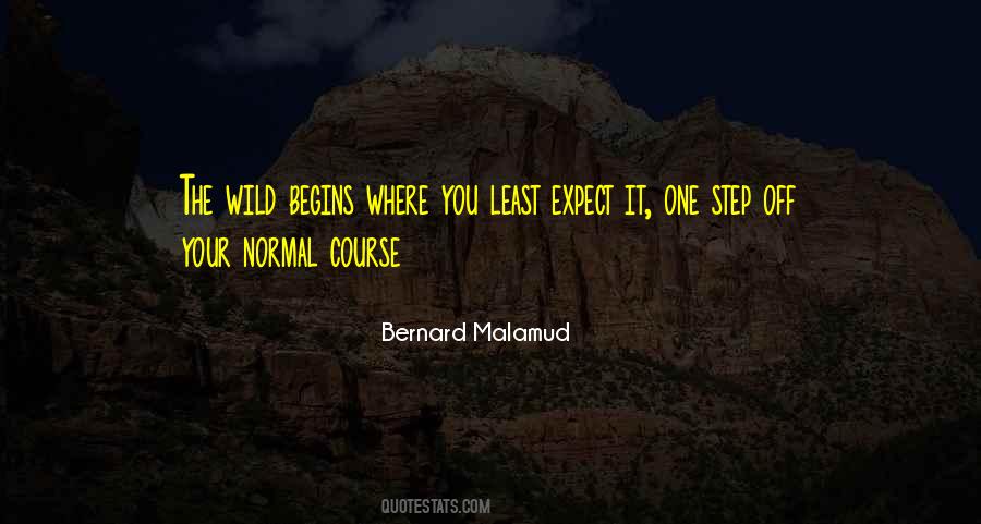 Bernard Malamud Quotes #1095087