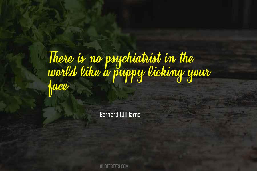 Bernard Williams Quotes #1165706