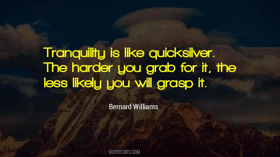 Bernard Williams Quotes #585402