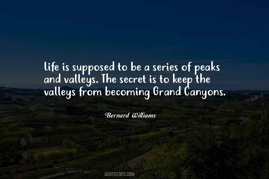 Bernard Williams Quotes #715071