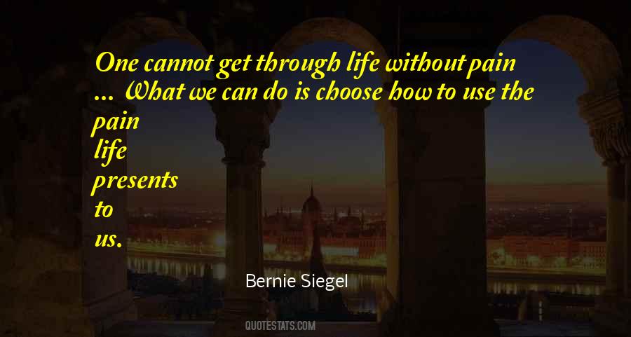 Bernie Siegel Quotes #1662284