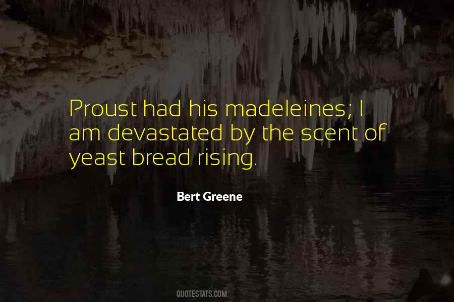 Bert Greene Quotes #1707074