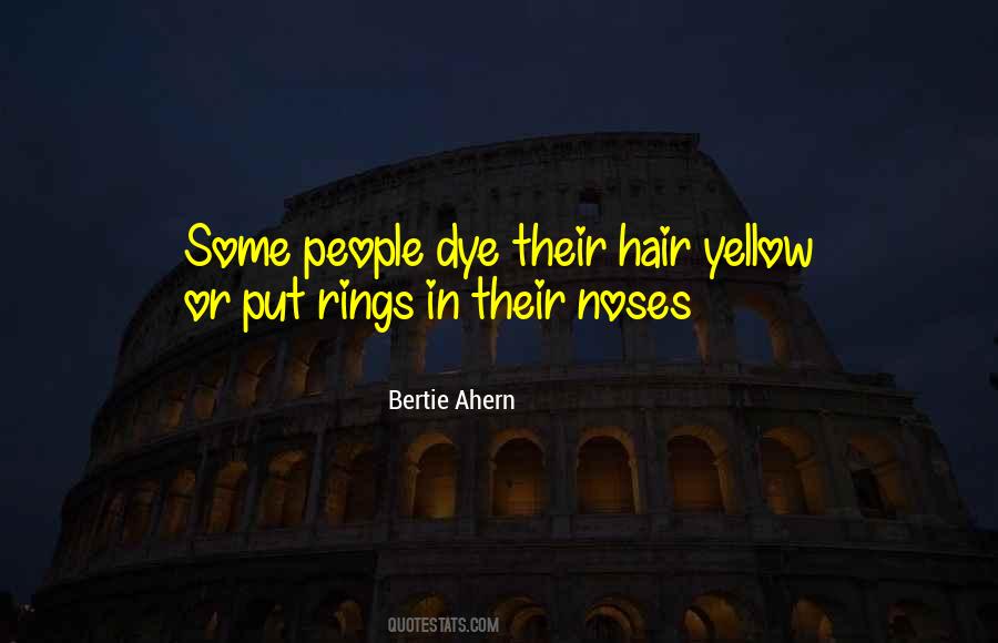 Bertie Ahern Quotes #614643