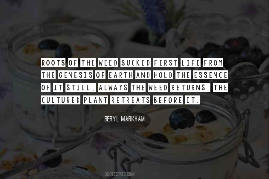 Beryl Markham Quotes #677743