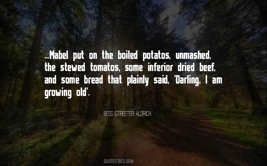 Bess Streeter Aldrich Quotes #105496