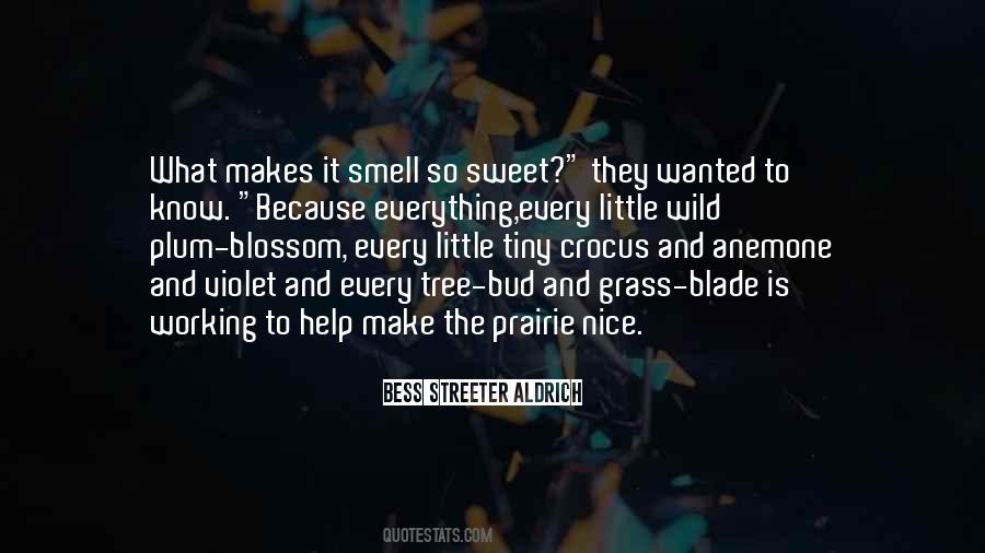 Bess Streeter Aldrich Quotes #1245168