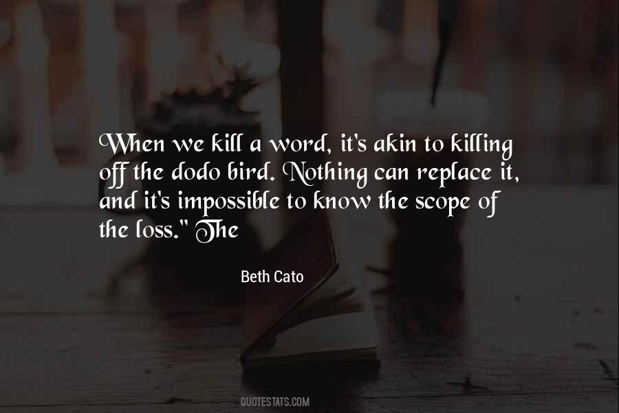 Beth Cato Quotes #901978