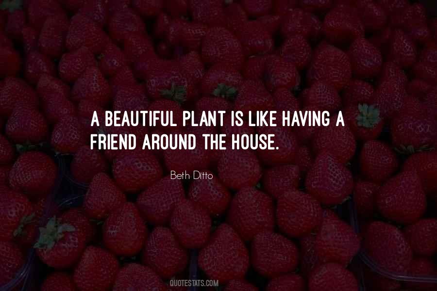 Beth Ditto Quotes #1569795